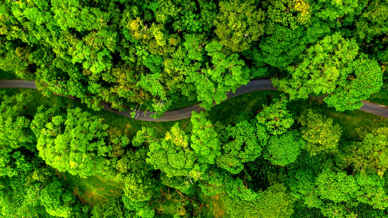 Luchtfoto van een kronkelende weg door een groen bos, symbool voor duurzame groene energie.
